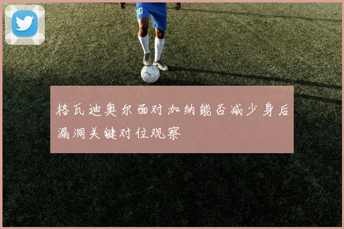 格瓦迪奥尔面对加纳能否减少身后漏洞关键对位观察