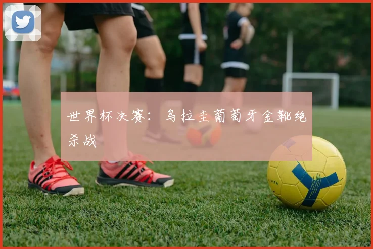 世界杯决赛:乌拉圭葡萄牙金靴绝杀战