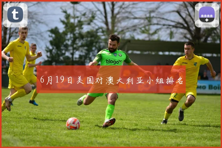 6月19日美国对澳大利亚小组排名