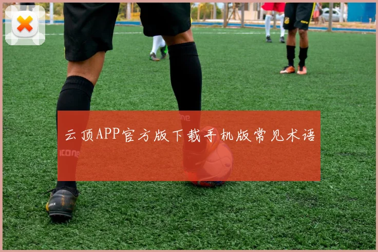 云顶APP官方版下载手机版常见术语